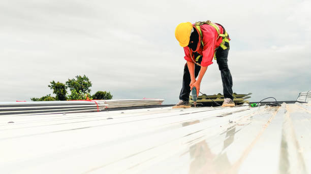 Best Metal Roofing Installation  in South Fulton, TN